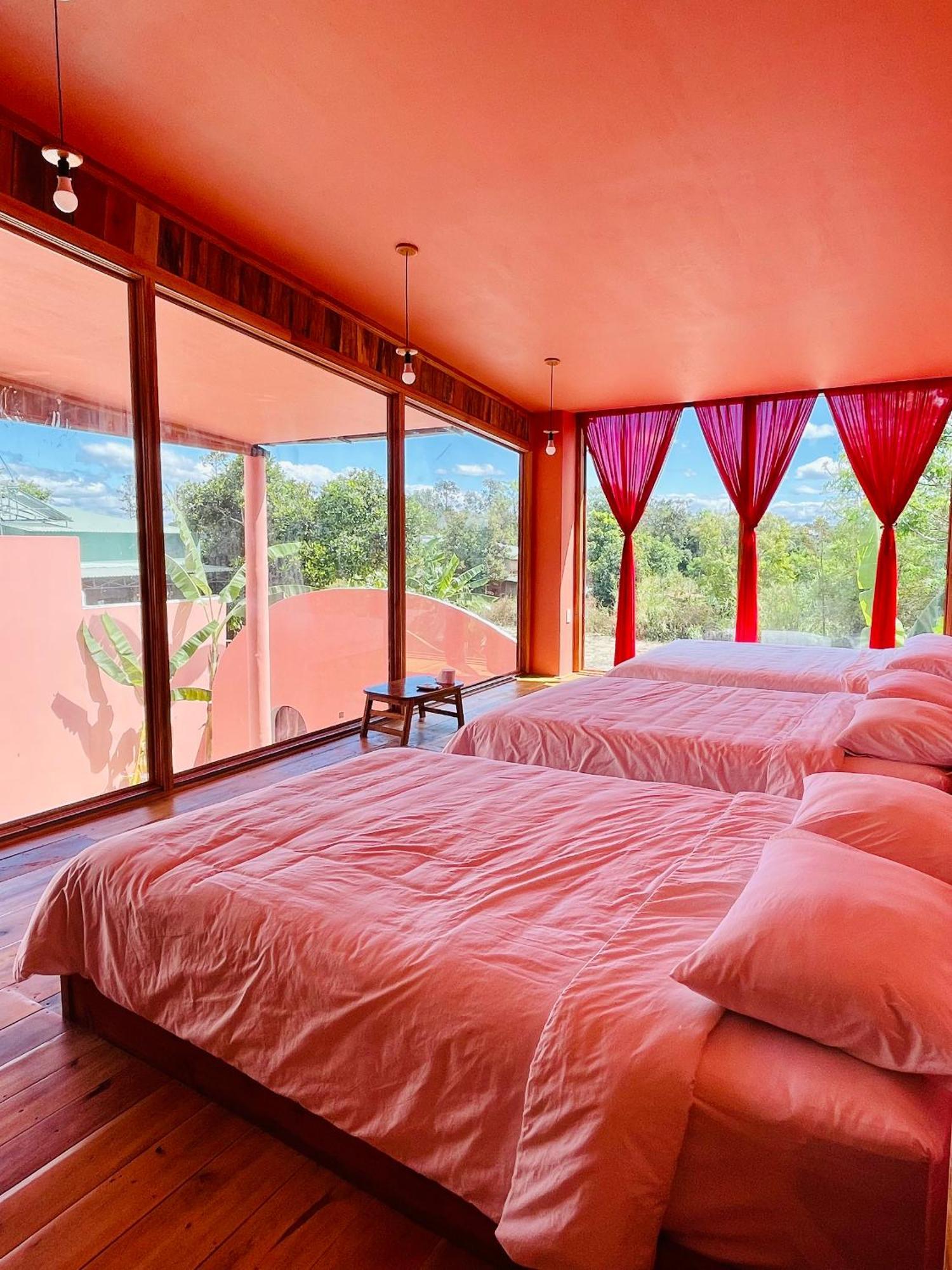 Tien Son Pleiku Homestay エクステリア 写真