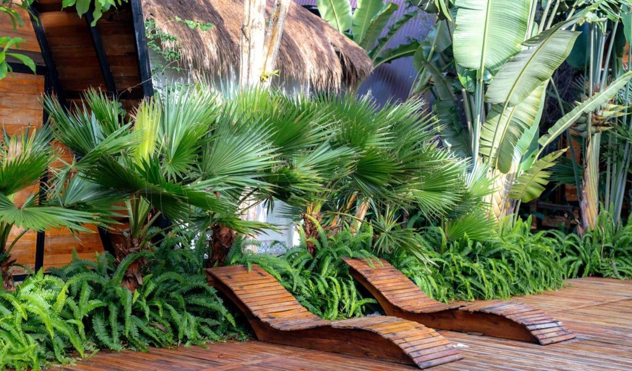 Tien Son Pleiku Homestay エクステリア 写真